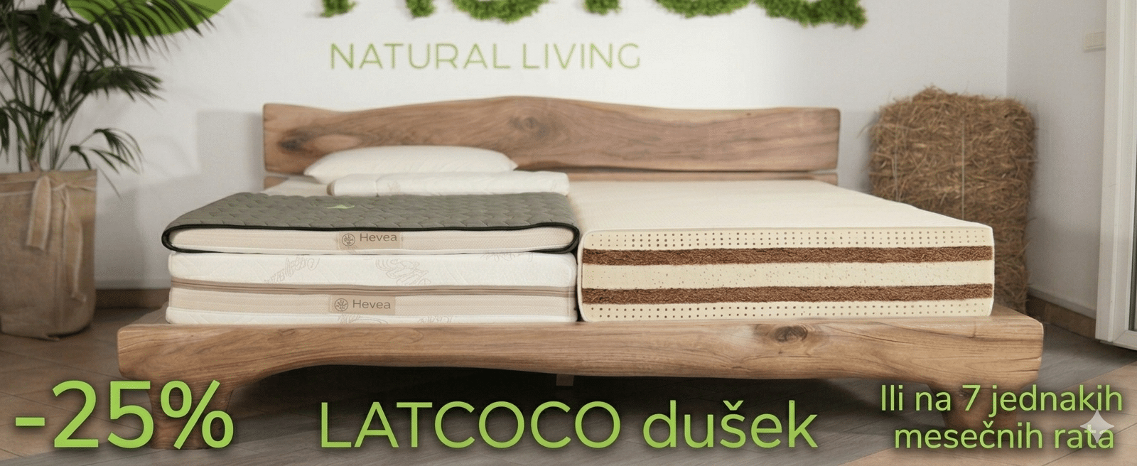 Shop Banner